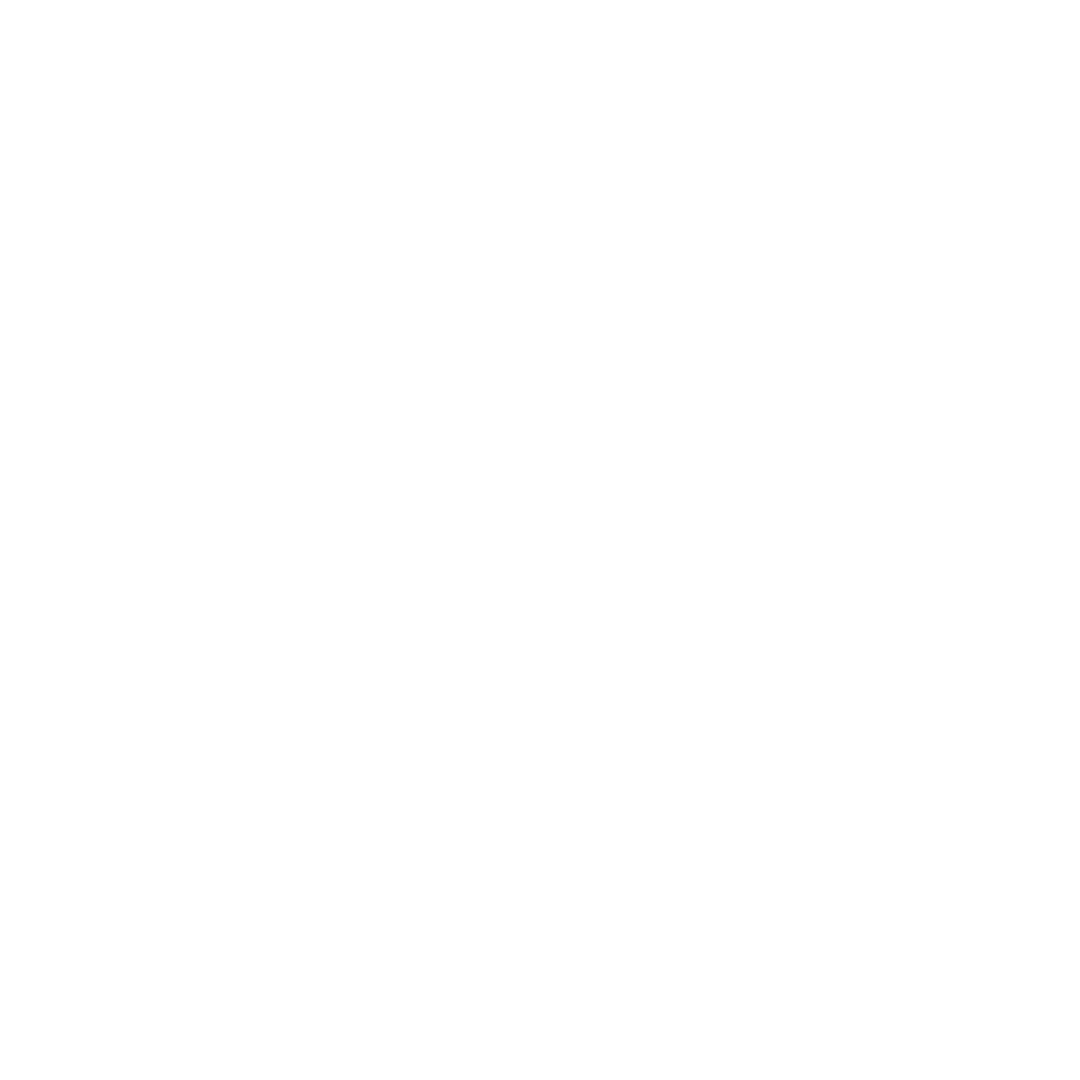 Lincoln Smiles